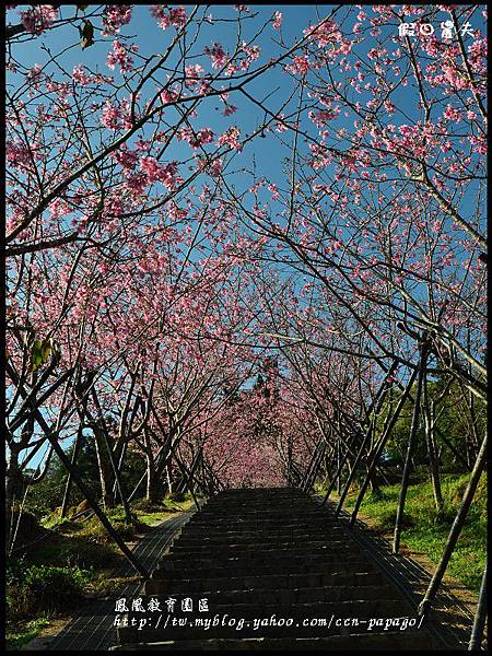 鳳凰教育園區DSC_2911 鳳凰教育園區DSC_2911