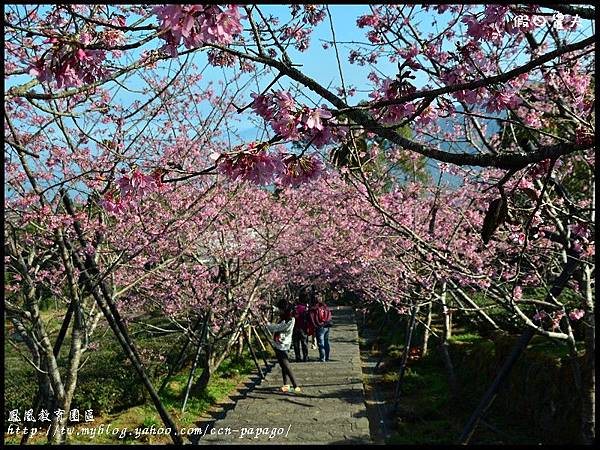鳳凰教育園區DSC_2929 鳳凰教育園區DSC_2929