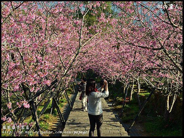 鳳凰教育園區DSC_2936 鳳凰教育園區DSC_2936