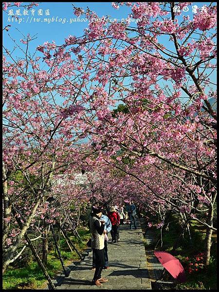 鳳凰教育園區DSC_2945 鳳凰教育園區DSC_2945