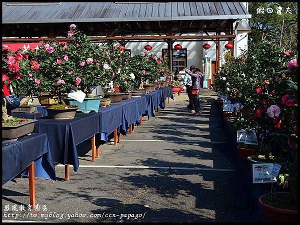 鳳凰教育園區DSC_2995 鳳凰教育園區DSC_2995