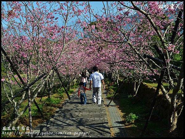 鳳凰教育園區DSC_3031 鳳凰教育園區DSC_3031
