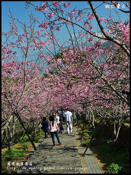 鳳凰教育園區DSC_3033 鳳凰教育園區DSC_3033