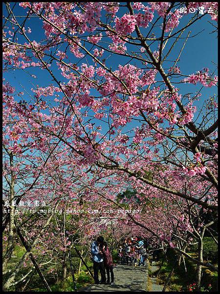 鳳凰教育園區DSC_3042 鳳凰教育園區DSC_3042