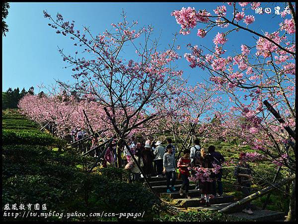 鳳凰教育園區DSC_3049 鳳凰教育園區DSC_3049