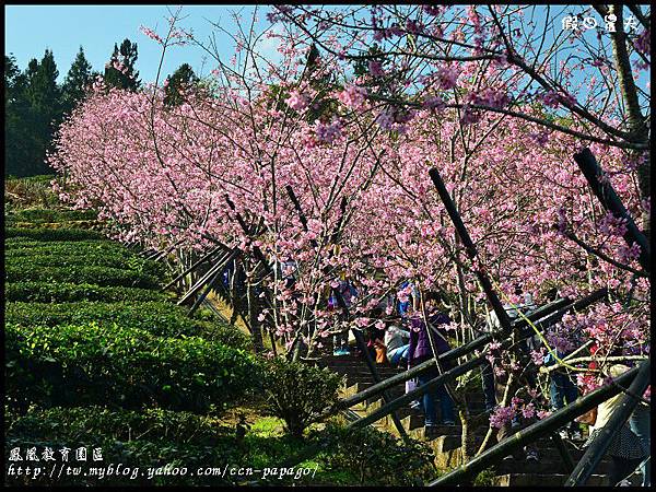 鳳凰教育園區DSC_3052 鳳凰教育園區DSC_3052