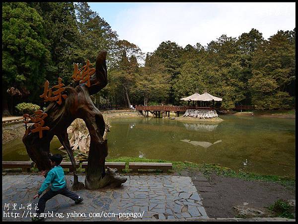 阿里山櫻花DSC_4138 阿里山櫻花DSC_4138