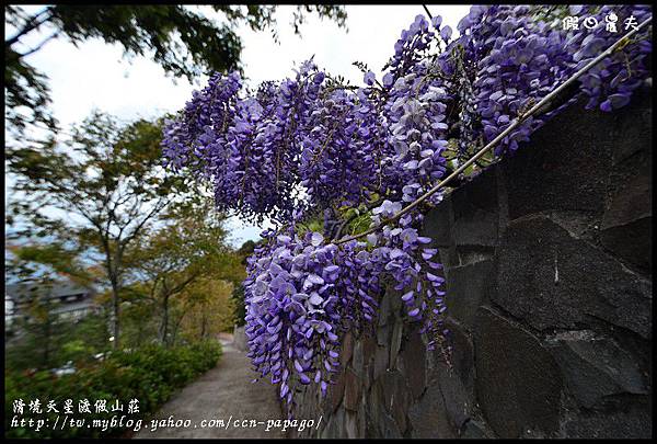 清境天星渡假山莊DSC_4420