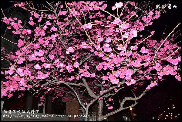 法月法式料理DSC_4745