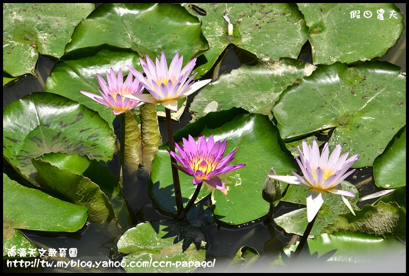南瀛天文教育園區_DSC6084