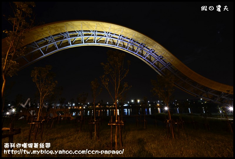 南科迎曦湖黃絲帶_DSC4357 南科迎曦湖黃絲帶_DSC4357