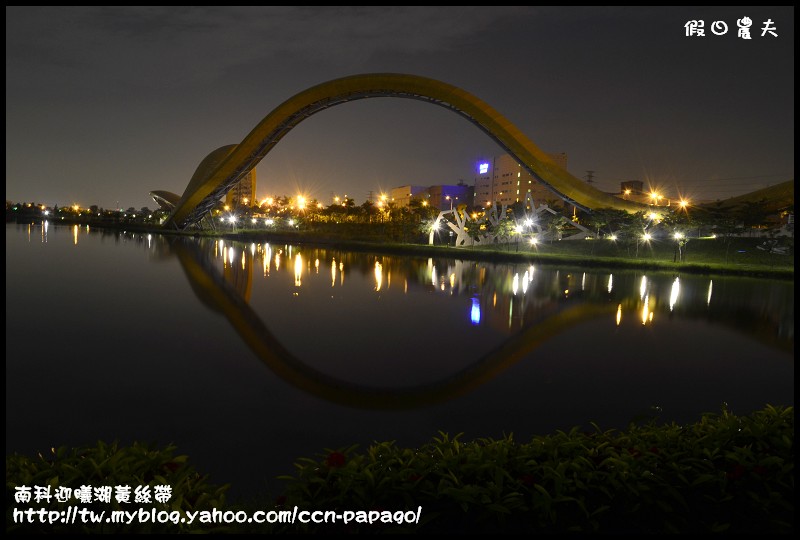 南科迎曦湖黃絲帶_DSC4394 南科迎曦湖黃絲帶_DSC4394