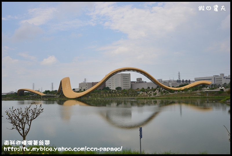 南科迎曦湖黃絲帶DSC_7101 南科迎曦湖黃絲帶DSC_7101
