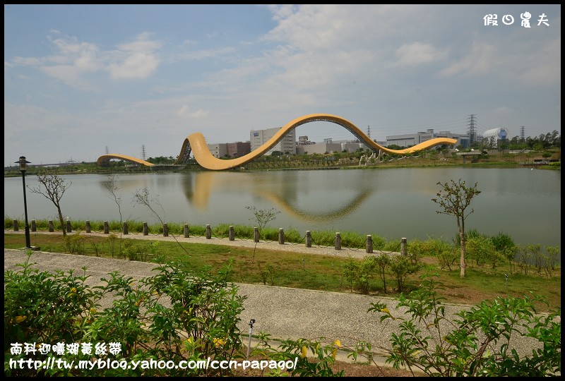南科迎曦湖黃絲帶DSC_7105 南科迎曦湖黃絲帶DSC_7105