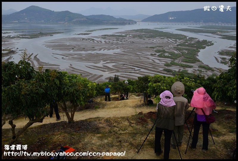 福建霞浦_DSC2042.jpg