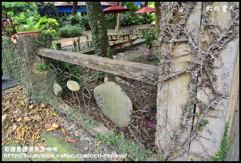 石頭魚鐵道平原咖啡_DSC3112 石頭魚鐵道平原咖啡_DSC3112