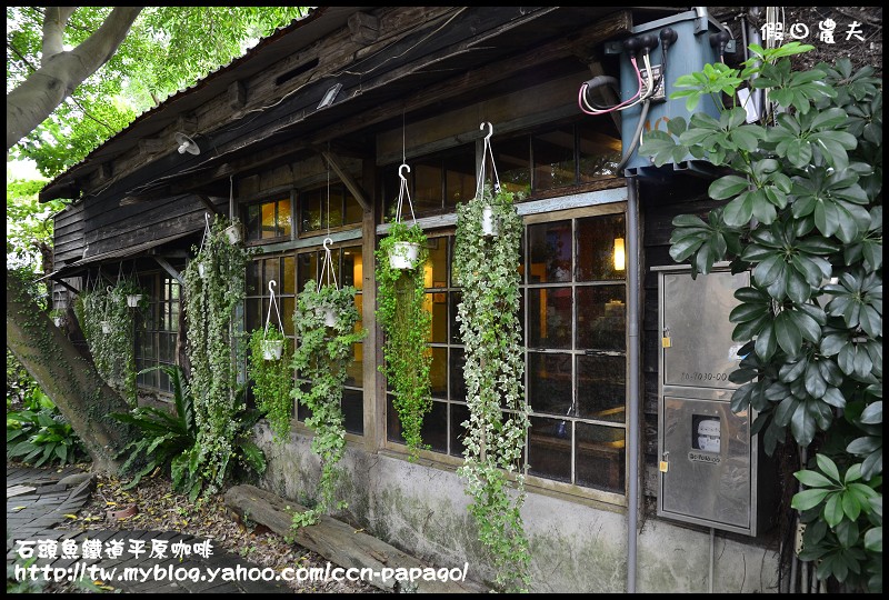 石頭魚鐵道平原咖啡_DSC3129 石頭魚鐵道平原咖啡_DSC3129