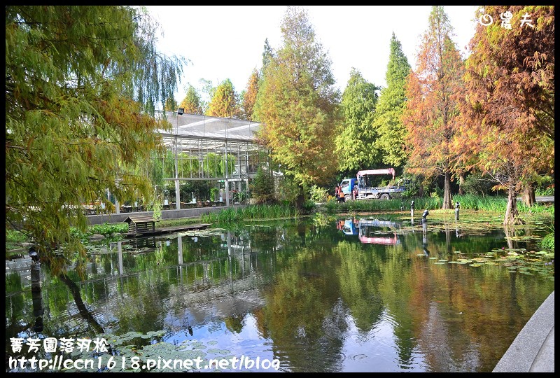 菁芳園落羽松DSC_0349 菁芳園落羽松DSC_0349