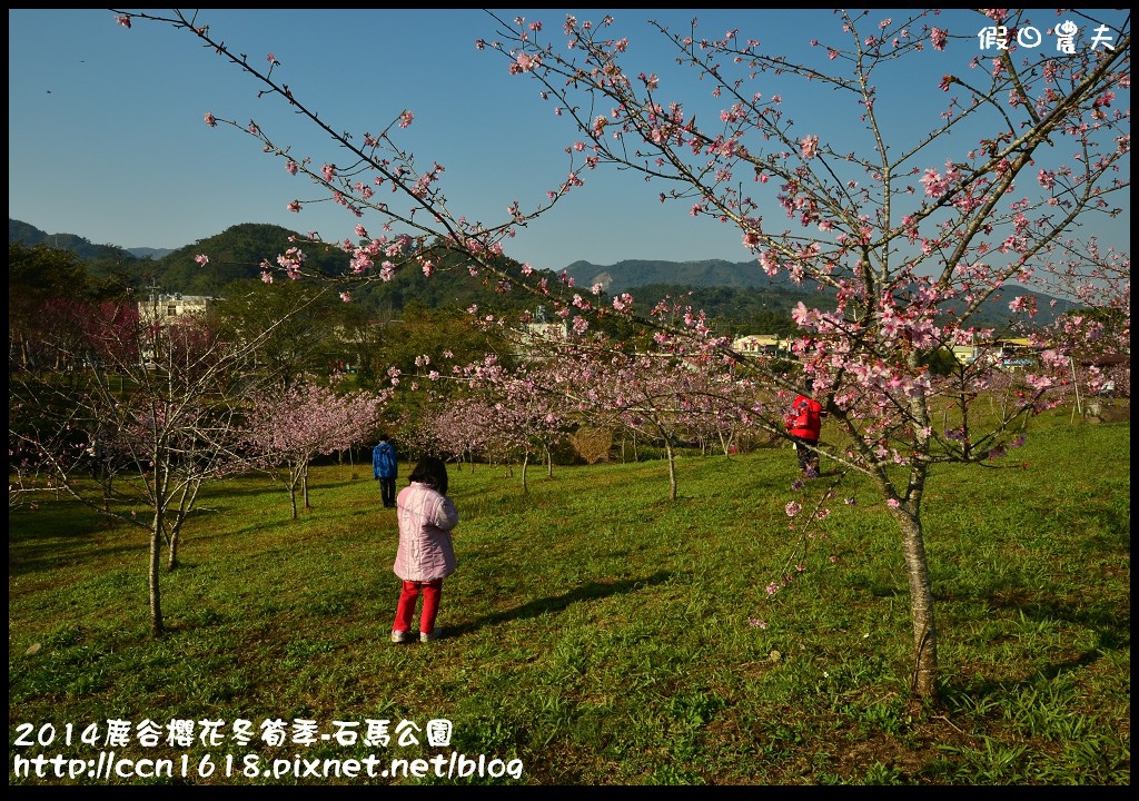 2014鹿谷櫻花冬筍季-石馬公園DSC_1676
