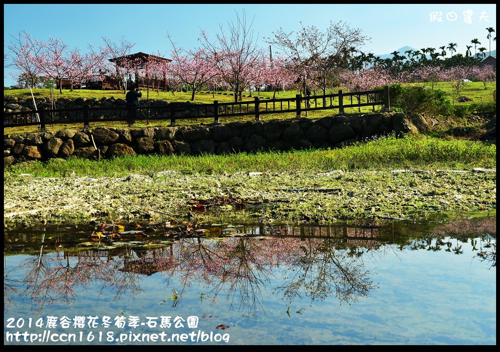 2014鹿谷櫻花冬筍季-石馬公園DSC_1697