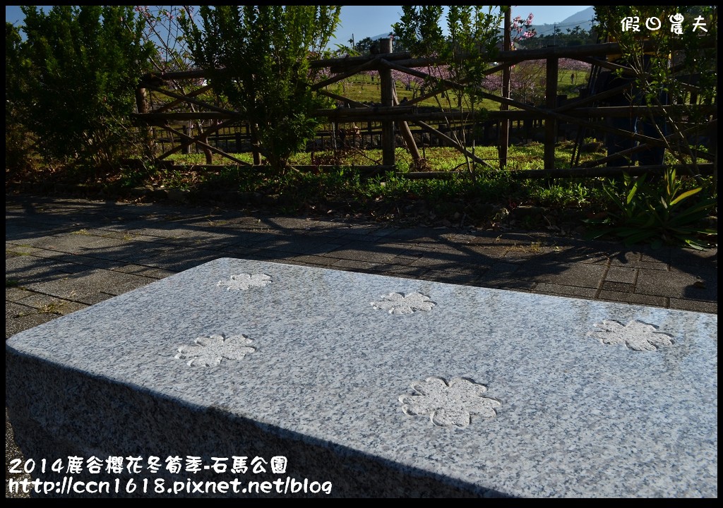 2014鹿谷櫻花冬筍季-石馬公園DSC_1702