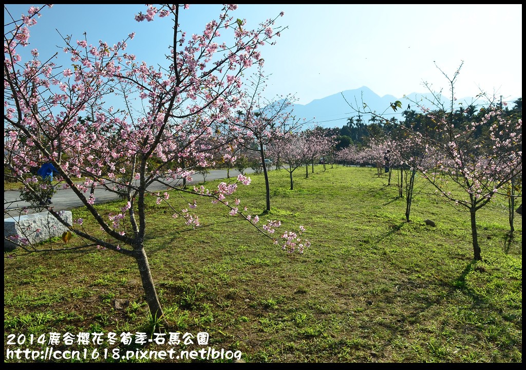 2014鹿谷櫻花冬筍季-石馬公園DSC_1714