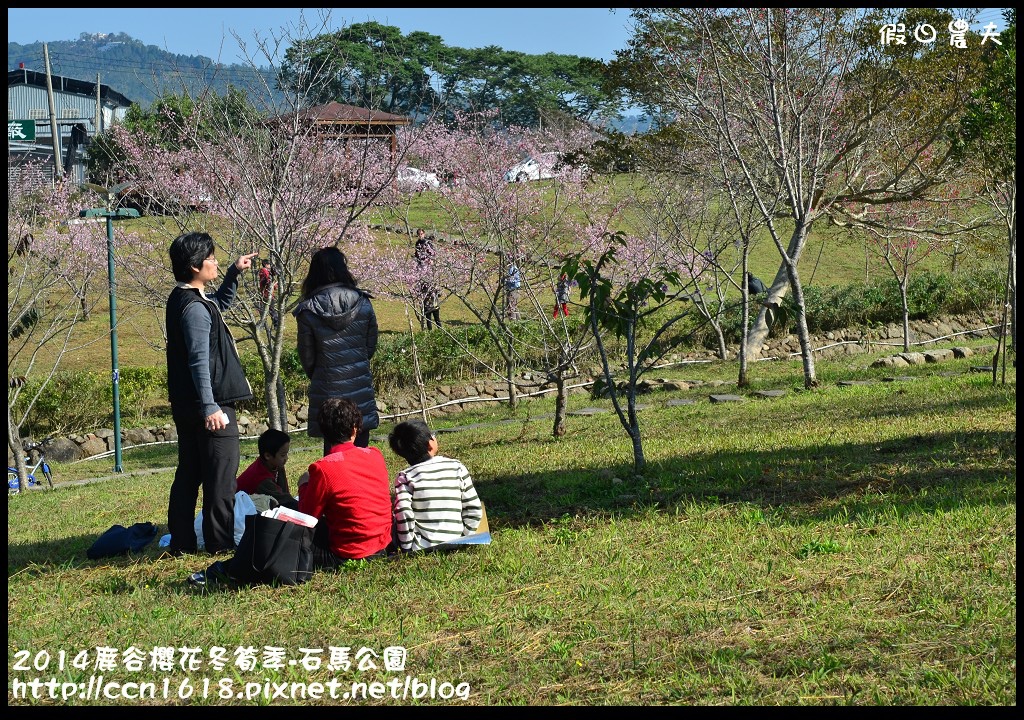 2014鹿谷櫻花冬筍季-石馬公園DSC_1758
