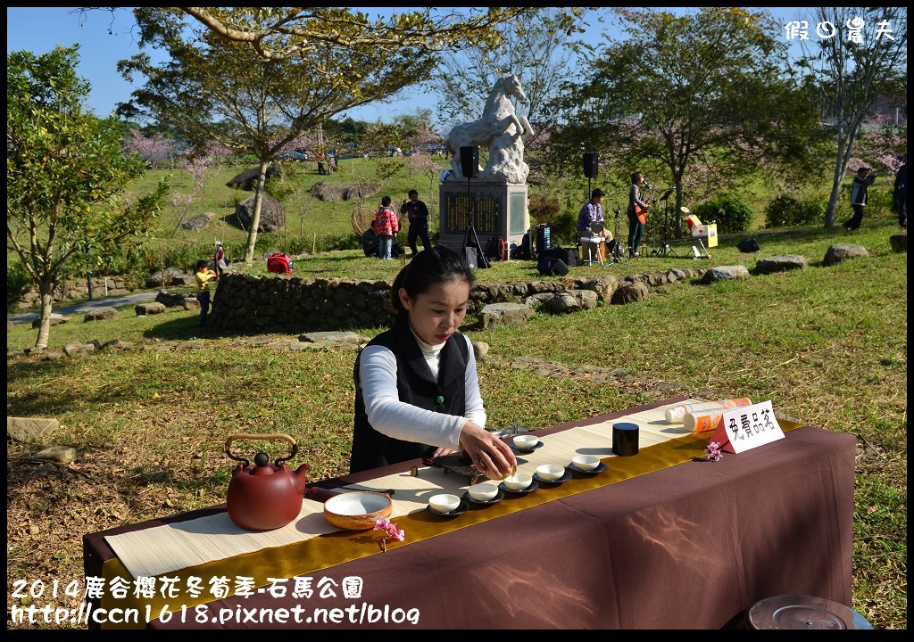 2014鹿谷櫻花冬筍季-石馬公園DSC_1762