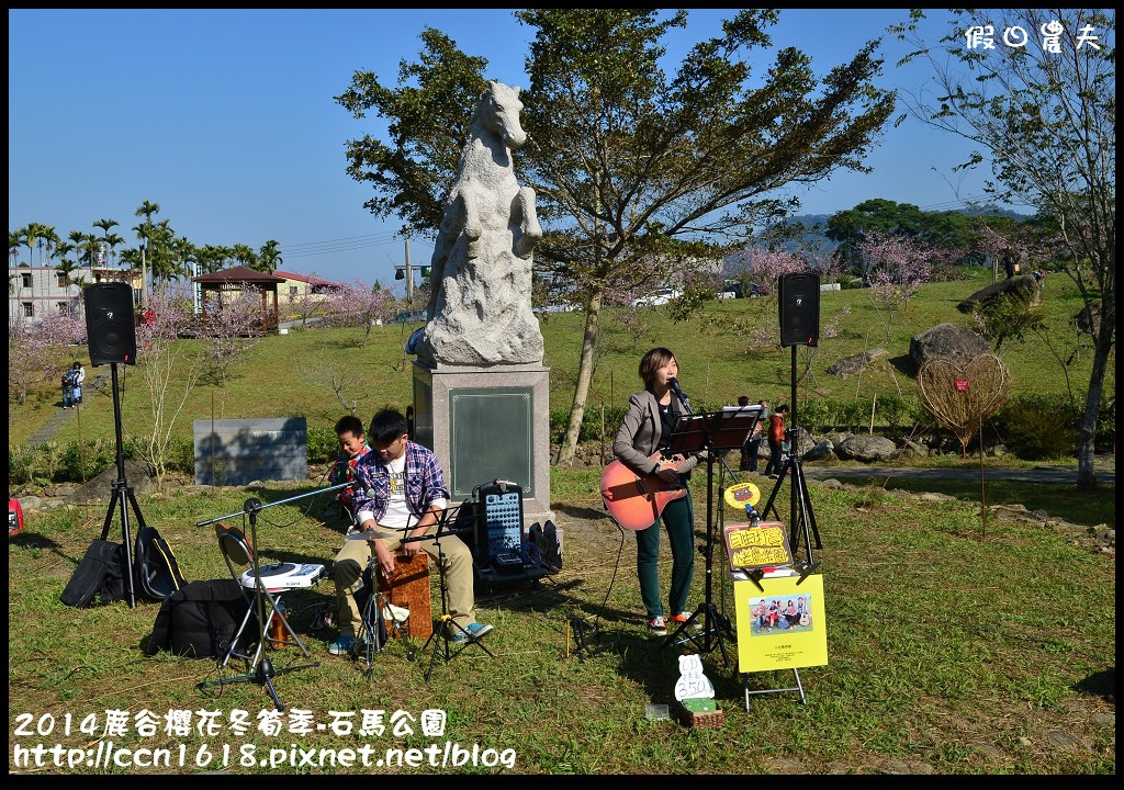 2014鹿谷櫻花冬筍季-石馬公園DSC_1771