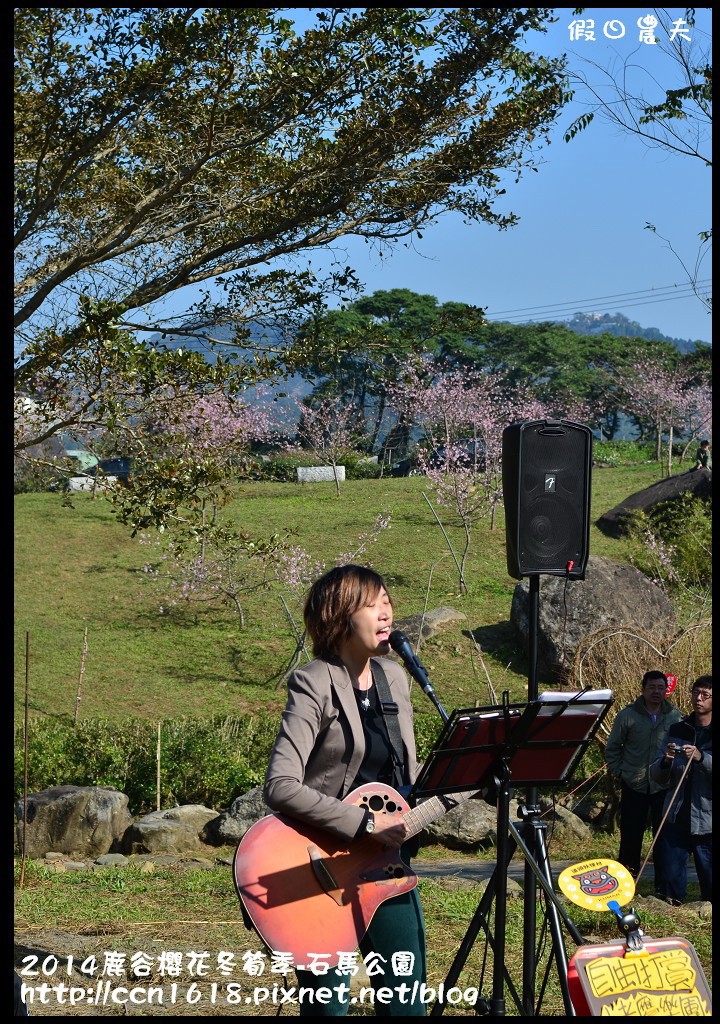 2014鹿谷櫻花冬筍季-石馬公園DSC_1775