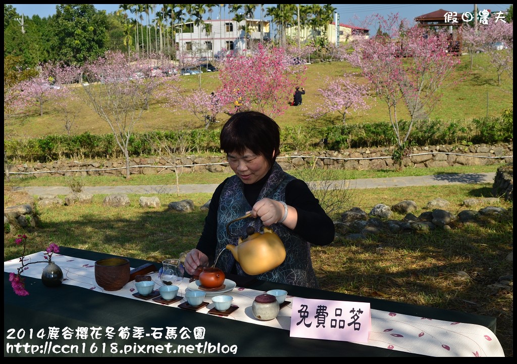 2014鹿谷櫻花冬筍季-石馬公園DSC_1778