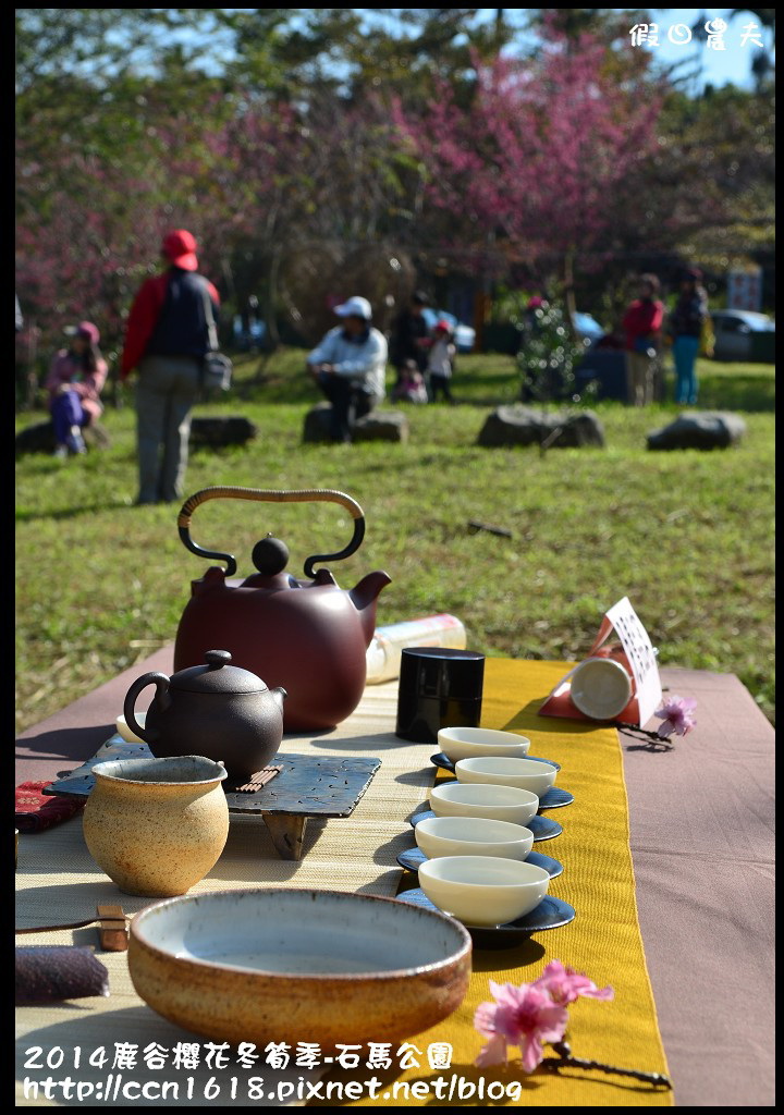 2014鹿谷櫻花冬筍季-石馬公園DSC_1780