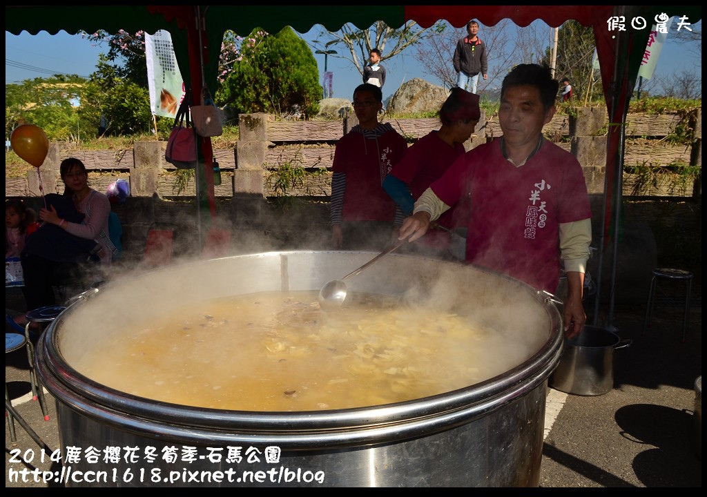2014鹿谷櫻花冬筍季-石馬公園DSC_1846
