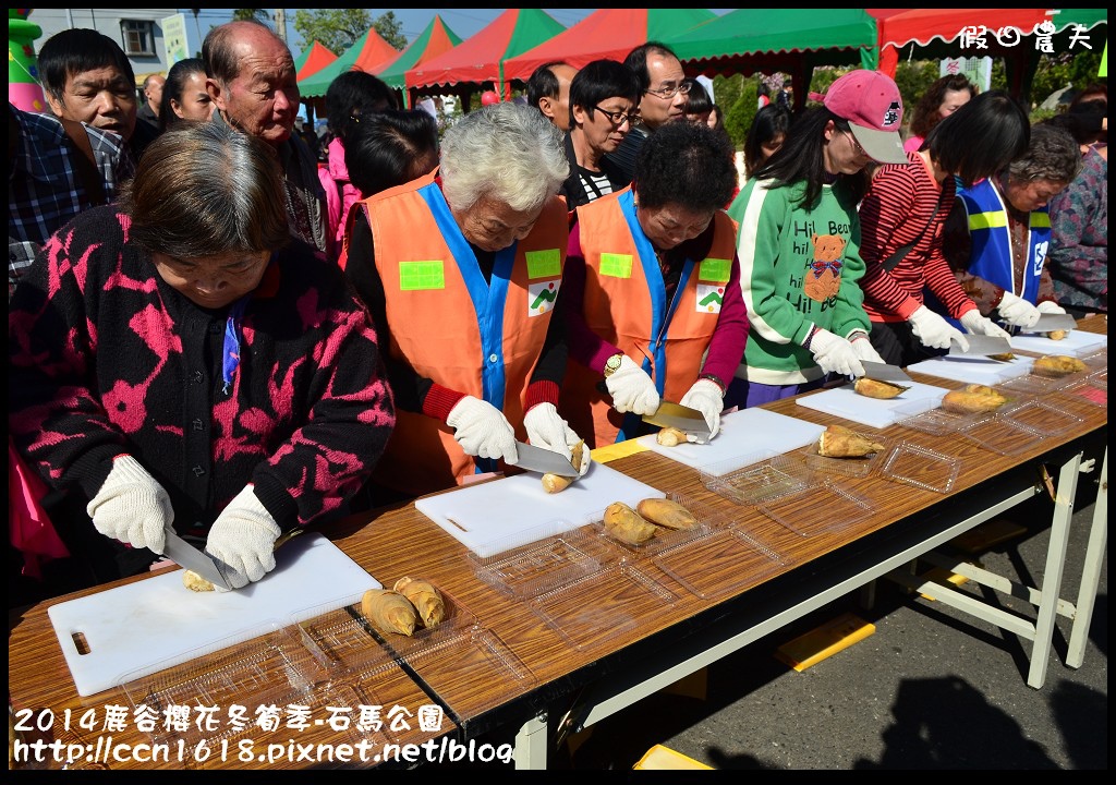 2014鹿谷櫻花冬筍季-石馬公園DSC_1850