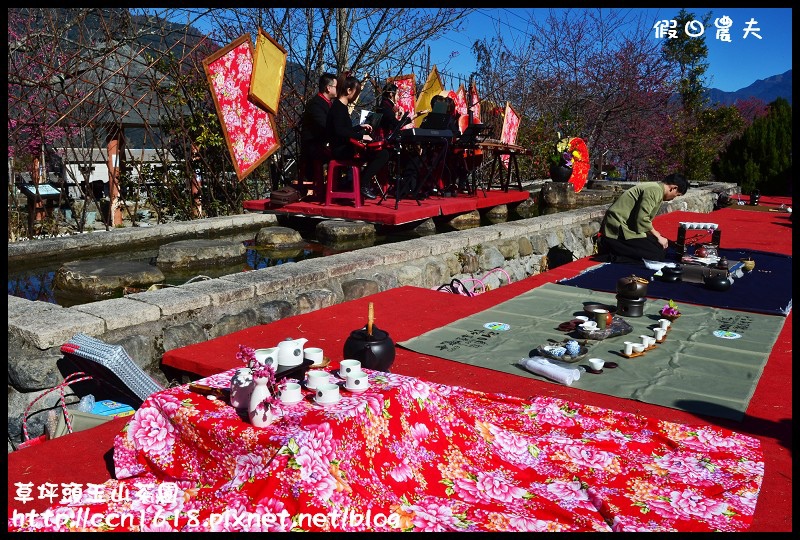 草坪頭玉山茶園DSC_2426