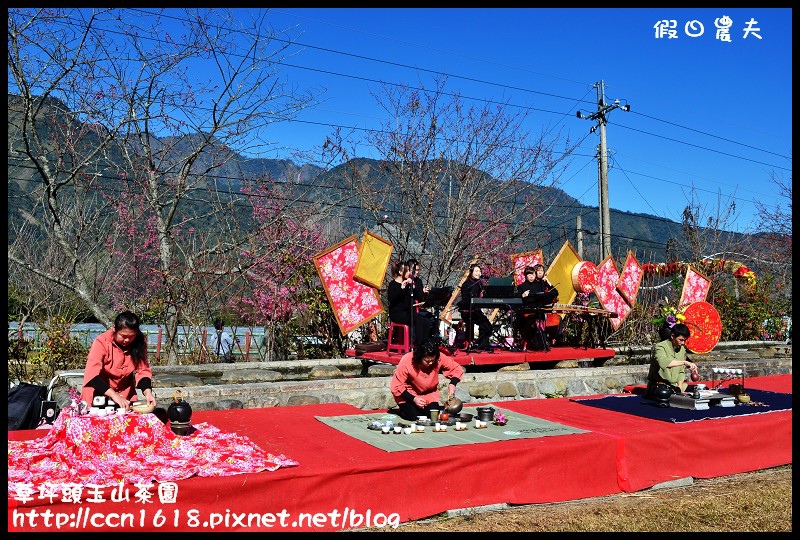 草坪頭玉山茶園DSC_2443