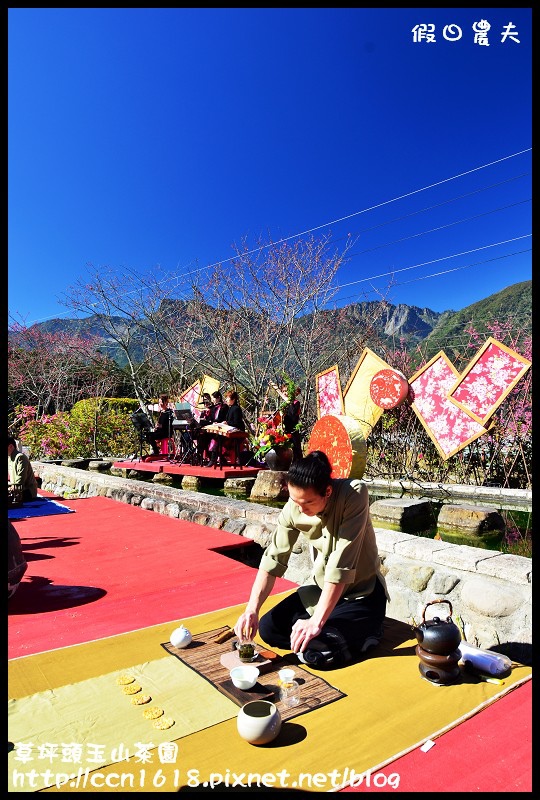 草坪頭玉山茶園DSC_2466