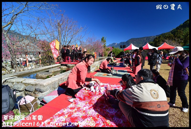 草坪頭玉山茶園DSC_2465