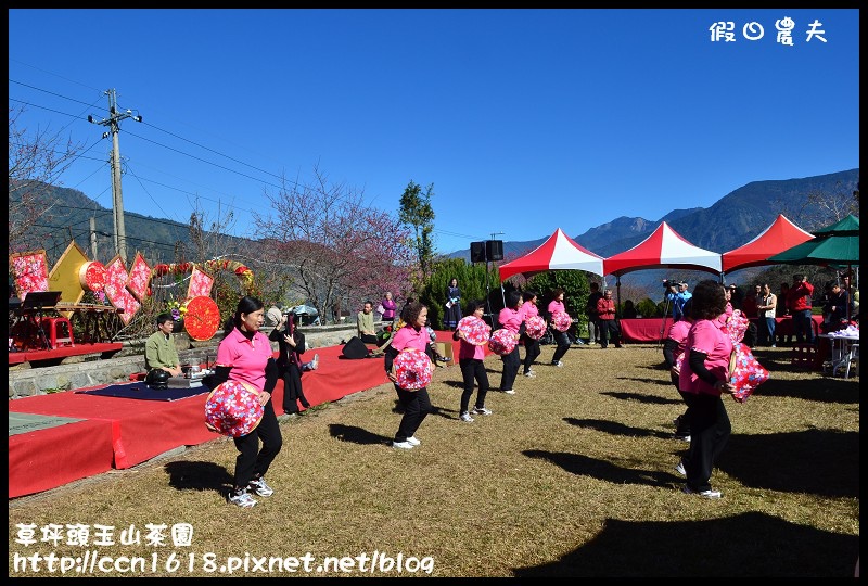 草坪頭玉山茶園DSC_2483