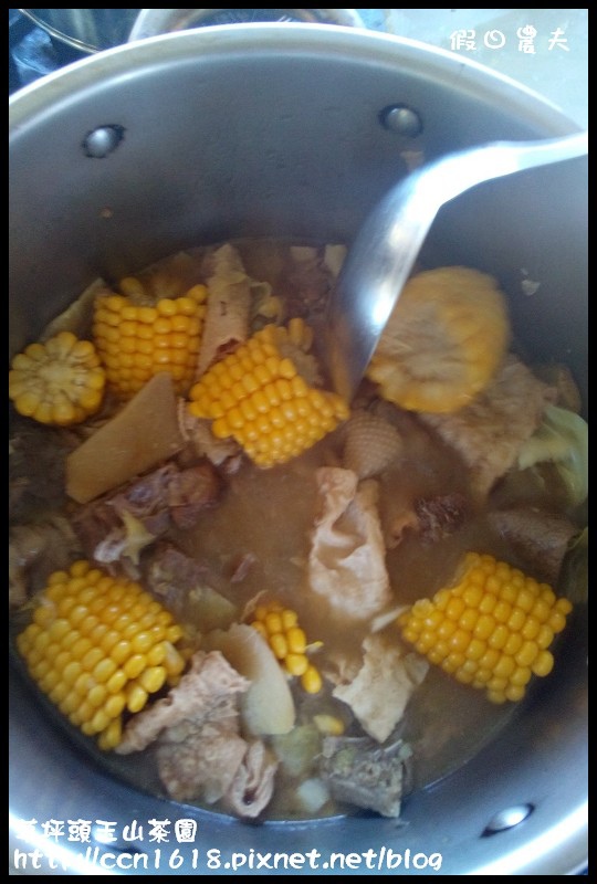 草坪頭玉山茶園1602068_593012714125479_214807635_o