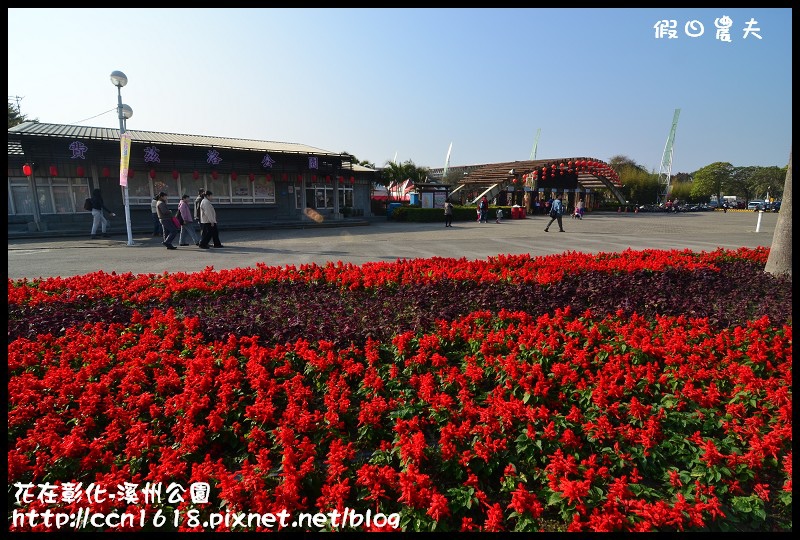 花在彰化-溪州公園DSC_3148 花在彰化-溪州公園DSC_3148
