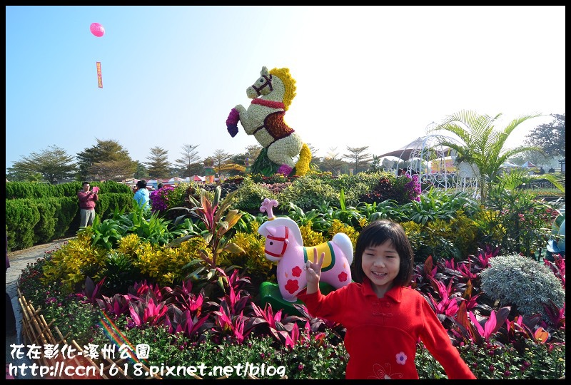 花在彰化-溪州公園DSC_3153 花在彰化-溪州公園DSC_3153