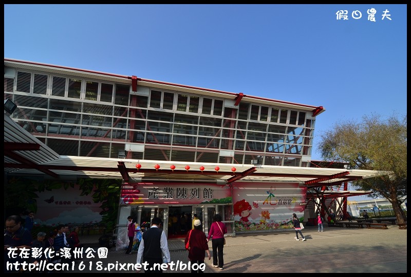 花在彰化-溪州公園DSC_3162 花在彰化-溪州公園DSC_3162