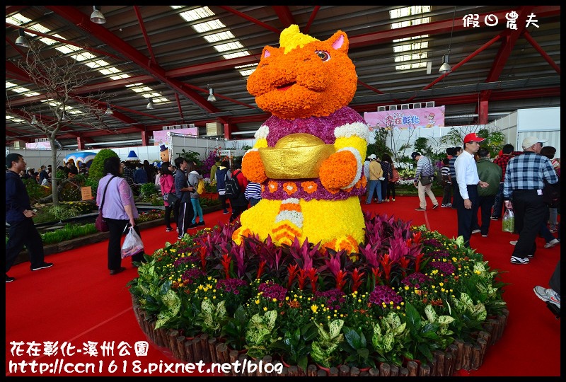 花在彰化-溪州公園DSC_3163 花在彰化-溪州公園DSC_3163