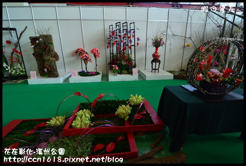 花在彰化-溪州公園DSC_3164 花在彰化-溪州公園DSC_3164