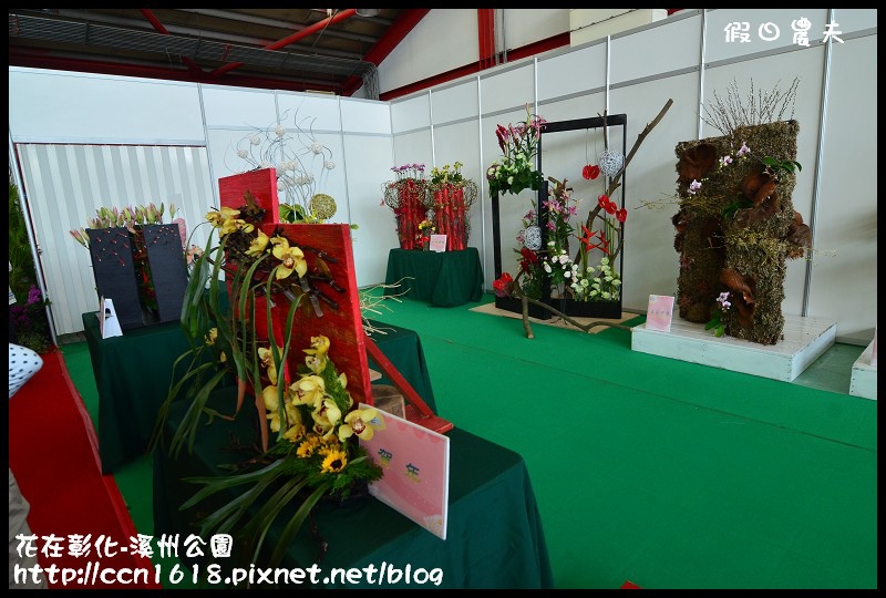 花在彰化-溪州公園DSC_3165 花在彰化-溪州公園DSC_3165