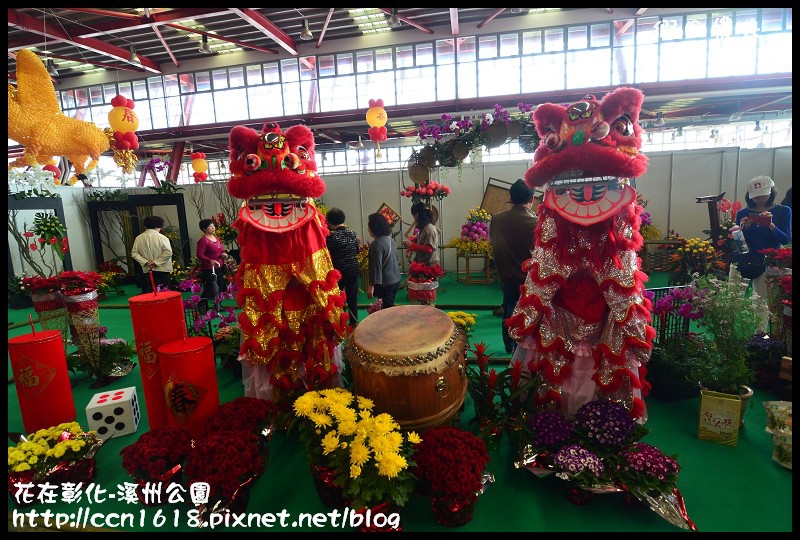 花在彰化-溪州公園DSC_3173 花在彰化-溪州公園DSC_3173