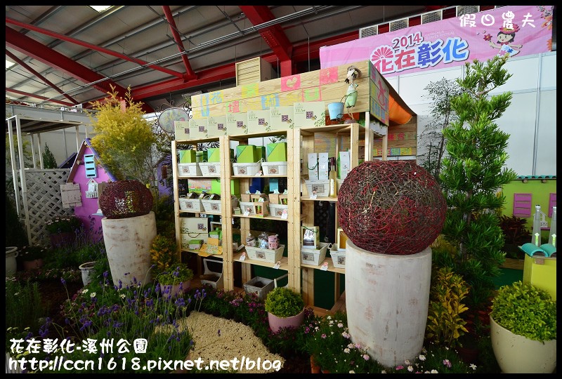 花在彰化-溪州公園DSC_3172 花在彰化-溪州公園DSC_3172