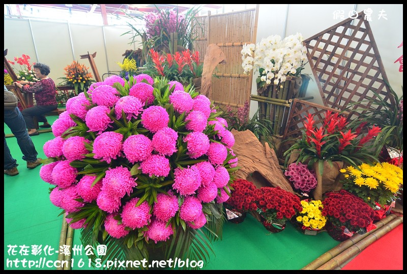 花在彰化-溪州公園DSC_3174 花在彰化-溪州公園DSC_3174