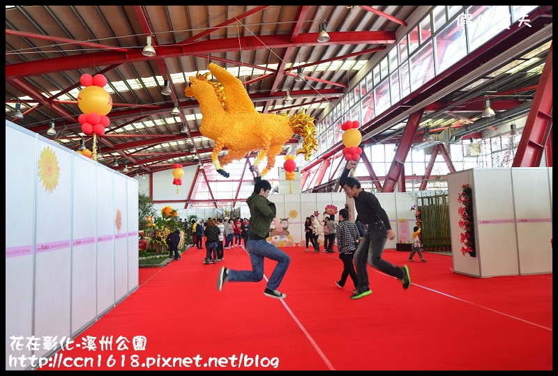 花在彰化-溪州公園DSC_3179 花在彰化-溪州公園DSC_3179